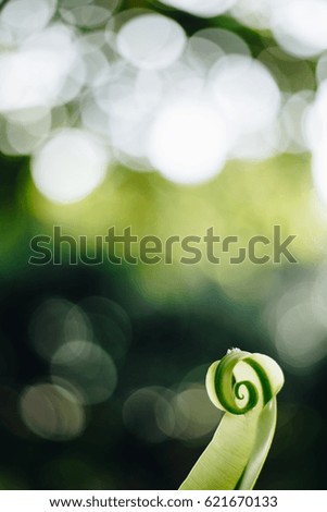 abstract Bokeh background 