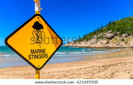 A sign on the beach to warn swimmers in Queensland, Australia of marine stingers in the water Royalty-Free Stock Photo #621699500