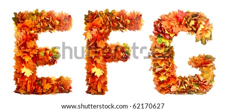 alphabet of autumn leaves