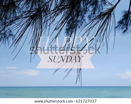 Happy sunday concept picture with calm blue sea background and a tree branches which represent the holiday mood
