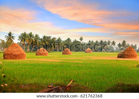 Scenic farm landscape in Andhra pradesh, India Royalty-Free Stock Photo #621762368