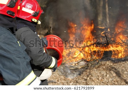 Two firemen extinguish forest fire.Extinguish the fire. Work firefighter. Fight with fire. Dangerous profession