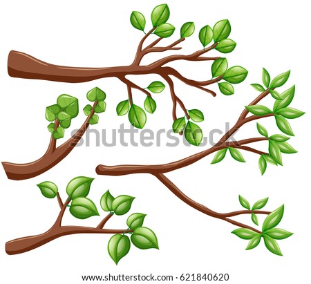 Different design of branches illustration