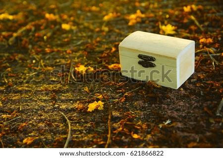 treasure wooden box with sun flare and sunset color tone over ground with flower