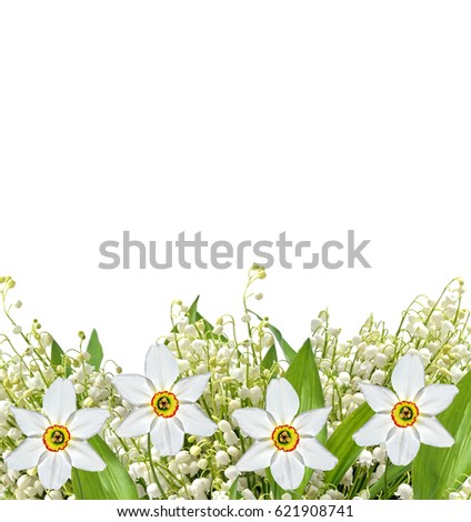 Spring flowers lily of the valley and daffodils isolated on white background.