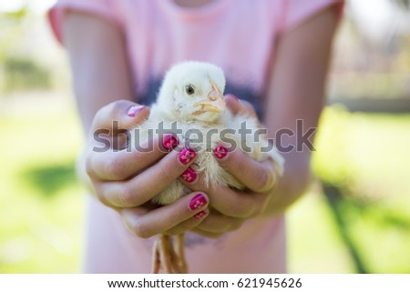 Little girl holding yellow baby chicken in her hands