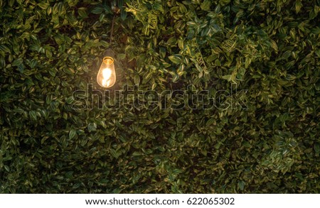 Light bulbs On the leaf technology.