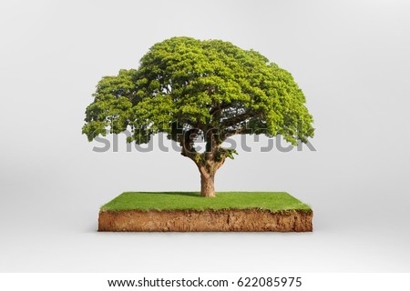 cubical cross section with underground earth soil and green grass on top, cutaway terrain surface with mud and tree isolated Royalty-Free Stock Photo #622085975