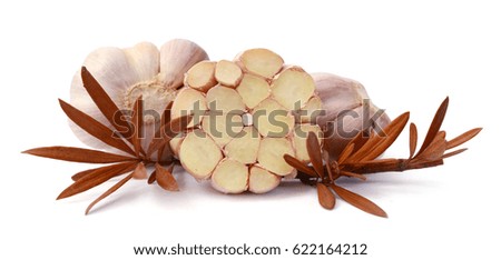Pair of garlics isolated on white background