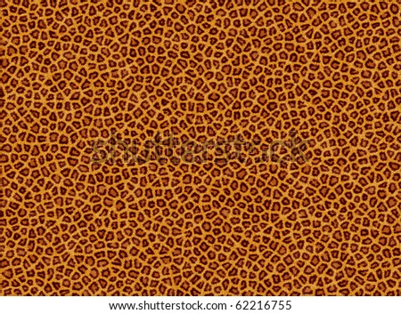 background from leopard