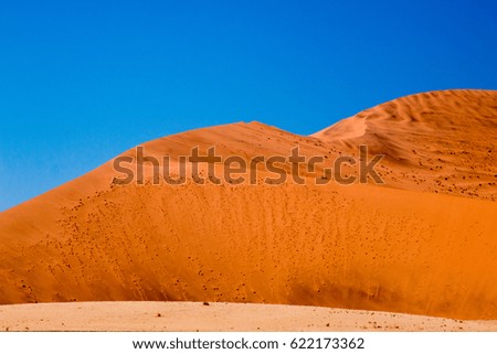 the sand dunes of Sossusvlei in the Namib Desert are often referred to as the highest dunes in the world