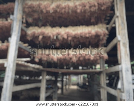 Blur warehouse for contain dry garlics.