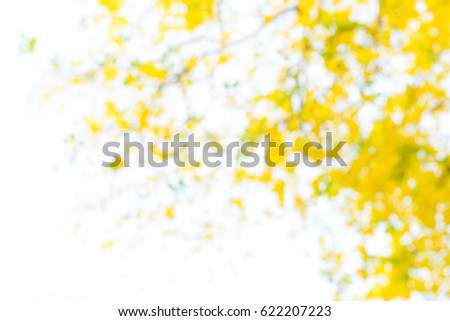 Photo by Lens defocus of Golden shower use as background.