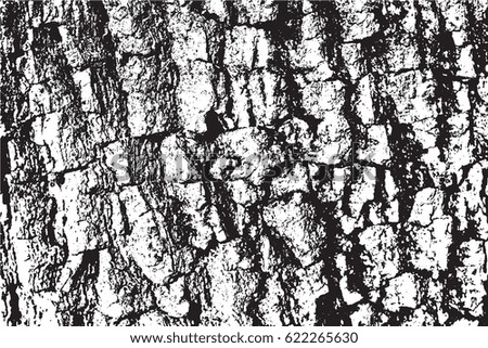 Vector Wood texture. Abstract background, tree bark. Overlay illustration over any design to create natural wooden effect and depth. For posters, banners, retro and urban designs.