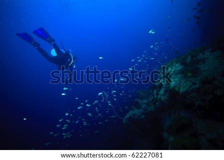 Diver swimming underwater Royalty-Free Stock Photo #62227081