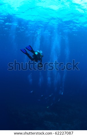 A photographer diver lost his group Royalty-Free Stock Photo #62227087