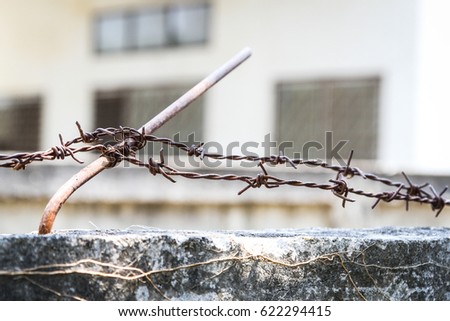 rusty barbed wire on natural background