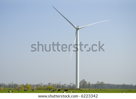 Cows in a meadow pasturing  below an horizontal axis three-bladed wind turbine.