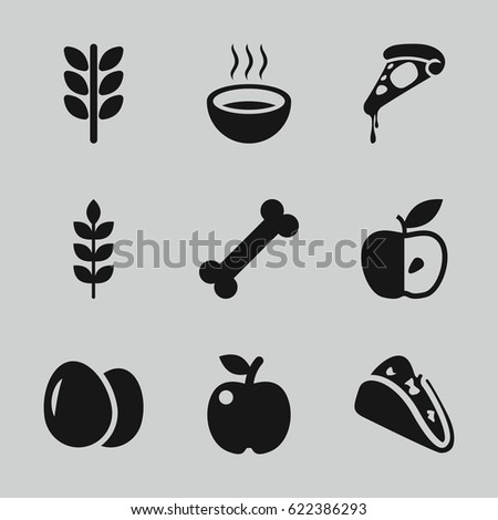 Eat icons set. set of 9 eat filled icons such as wheat, egg, taco, pizza, soup, apple