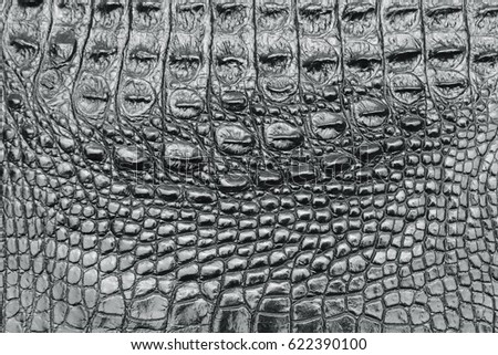 Black leather crocodile texture for background Royalty-Free Stock Photo #622390100