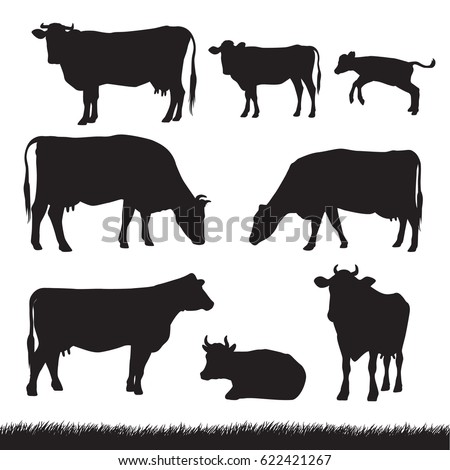 Silhouettes of grass, caws and baby cows in different poses