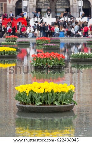 AMSTERDAM, THE NETHERLANDS - APRIL 4, 2017: Many tourist in front of the Rijksmuseum, with Tulips in the pond in front of them, during the Tulip Festival.