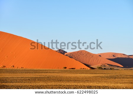 Beautiful landscape with big red dunes and trees at sunrise, Sossusvlei, Namib Naukluft National Park, Namibia
