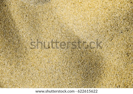 Sand texture. Sandy beach for background