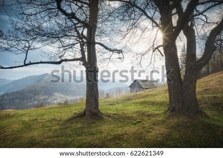 Lonely wooden house on a hill. Sunrise in a carpathian mountain village Yaremcha. Ukrainian Carpathians, Europe.