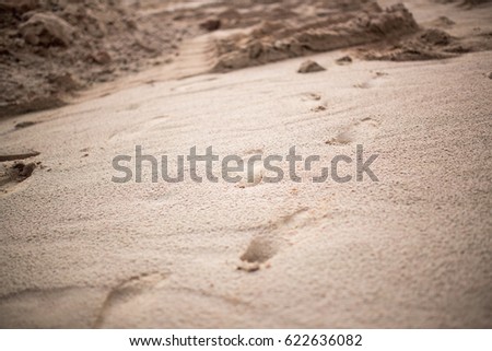 Footprints from the barefoot on the sand. Depth-of-field image