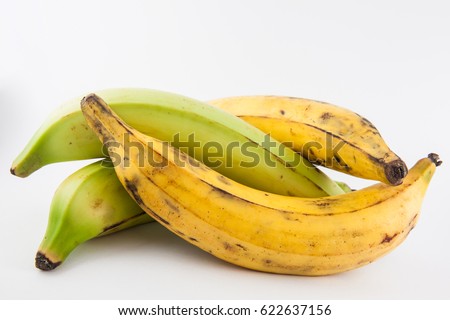 Plantain or Green Banana isolated in white background. Musa x paradisiaca Royalty-Free Stock Photo #622637156