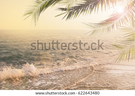 vintage summer background with palms Royalty-Free Stock Photo #622643480