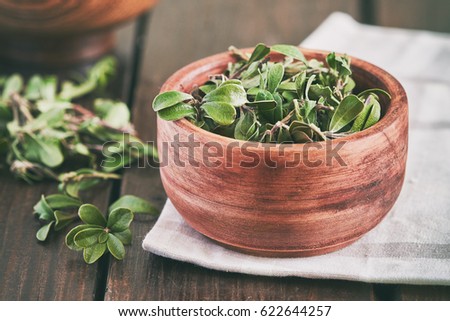 Bearberry leaves (medicinal plant Arctostaphylos uva-ursi) in wooden bowl Royalty-Free Stock Photo #622644257