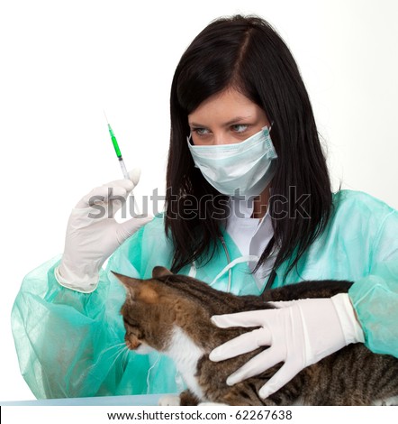 female vet in protective uniform and medical mask with cat in surgery preparing to injection