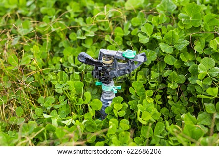 Sprinkler head for spraying water over green grass.