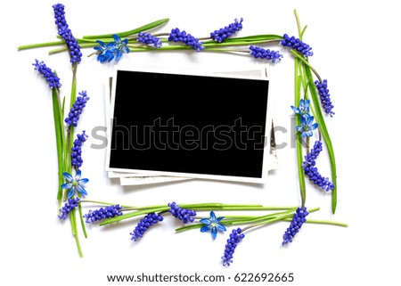 blank photo in a frame of spring blue flowers isolated on white background to put your picture. mock up. top view