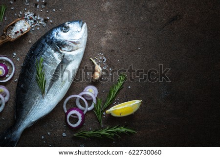 Fresh fish dorado. Dorado and ingredients for cooking at dark rusty table. Top view with copy space.