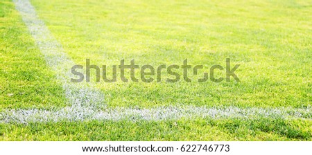 Football field green grass