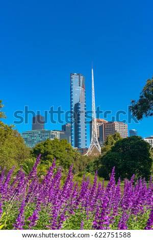 Bright purple flowers with Melbourne cityscape on the background on sunny day. Alexandra Gardens, Melbourne, Australia