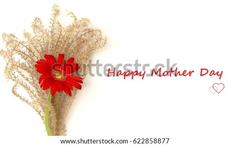 happy mother's card with the bouquet of red flowers  and susuki glass