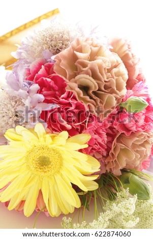 different color of carnation for Mother's day image