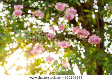 park blurred and sun fair of nature background Abstract nature background Blurred park natural background green natural background abstract for save the earth save the world and relax theme pink Royalty-Free Stock Photo #622906955