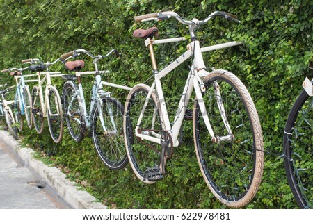 Vintage bicycles displayed on grass wall in park