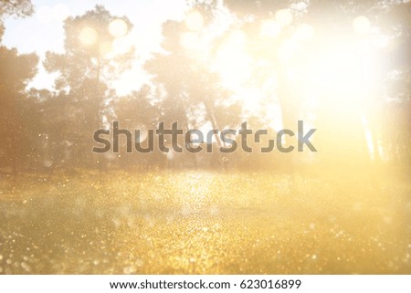 abstract photo of light burst among trees and glitter bokeh. image is blurred and filtered