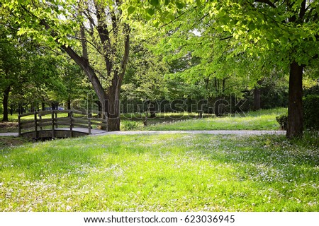 Nature. Green trees and grass