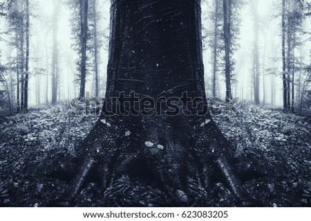creative symmetrical forest