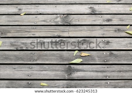Green leaf on wood plank floor, Background, Texture