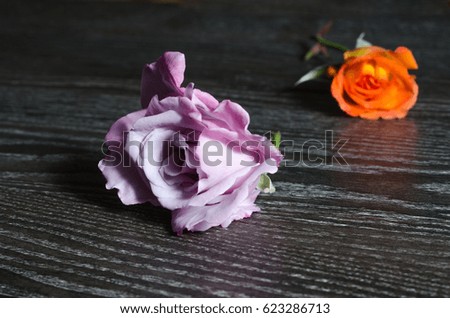 Roses on the table
