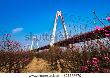 Nhat Tat Bridge in Spring