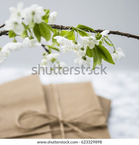 Letters in craft envelopes with a bow on a marble table next to tea cups and a vase with spring flowering branches